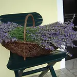 Apartma Golob 아파트 Zgornja Kungota