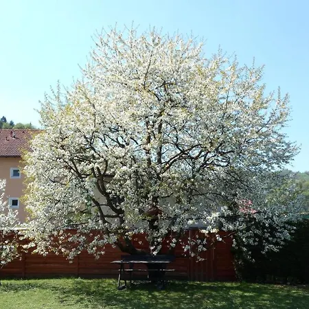 아파트 Apartma Golob Zgornja Kungota