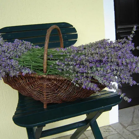 Apartma Golob Apartment Zgornja Kungota