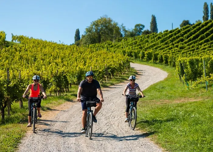 Apartma Golob * Zgornja Kungota