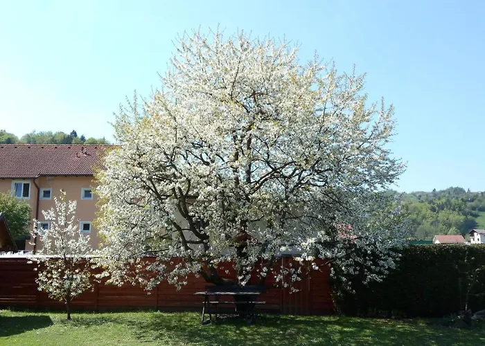 Apartment Apartma Golob Zgornja Kungota