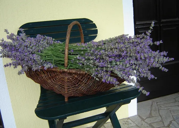 Apartma Golob Appartamento Zgornja Kungota